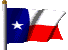 Lone Star Flag